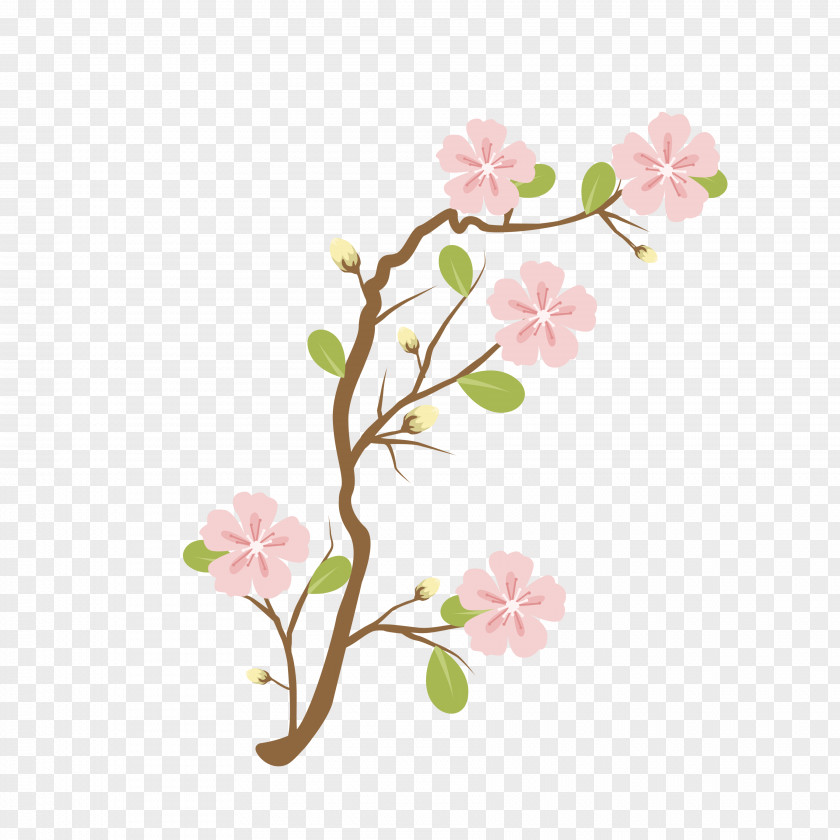 Cherry Blossoms National Blossom Festival Pink Cerasus PNG