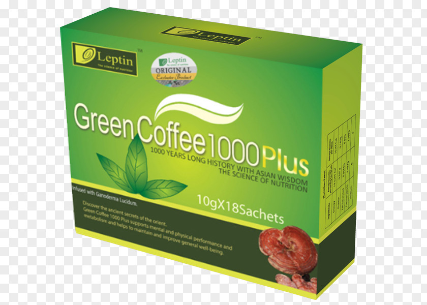 Coffee Bean Green Extract Dietary Supplement Tea Leptin PNG