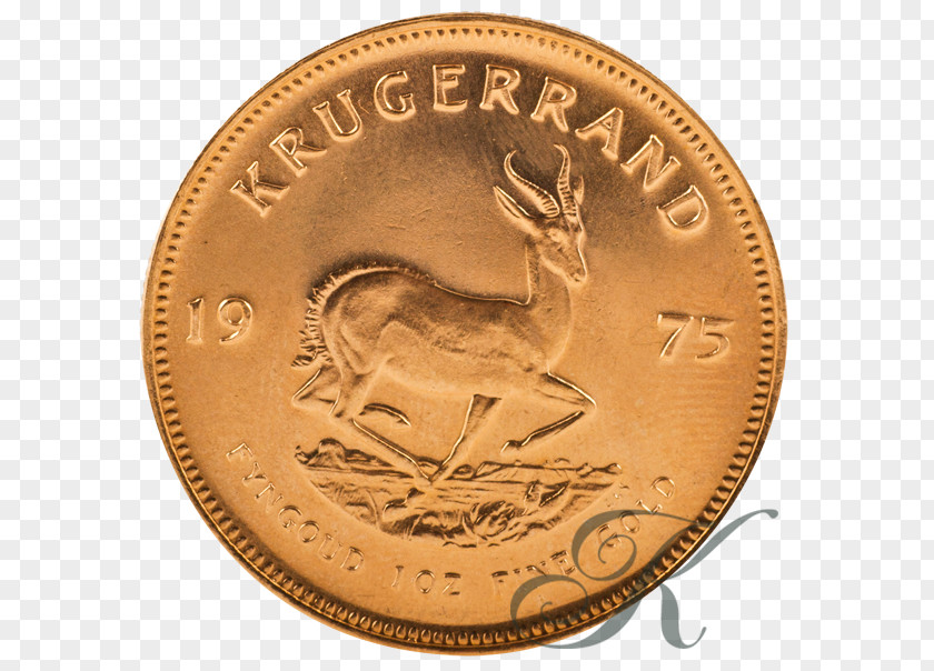 Coin Gold Bronze Copper PNG