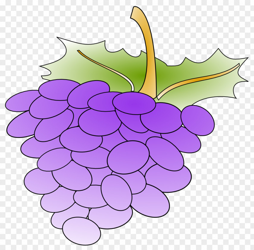 Grape Clipart Common Vine Juice Clip Art PNG