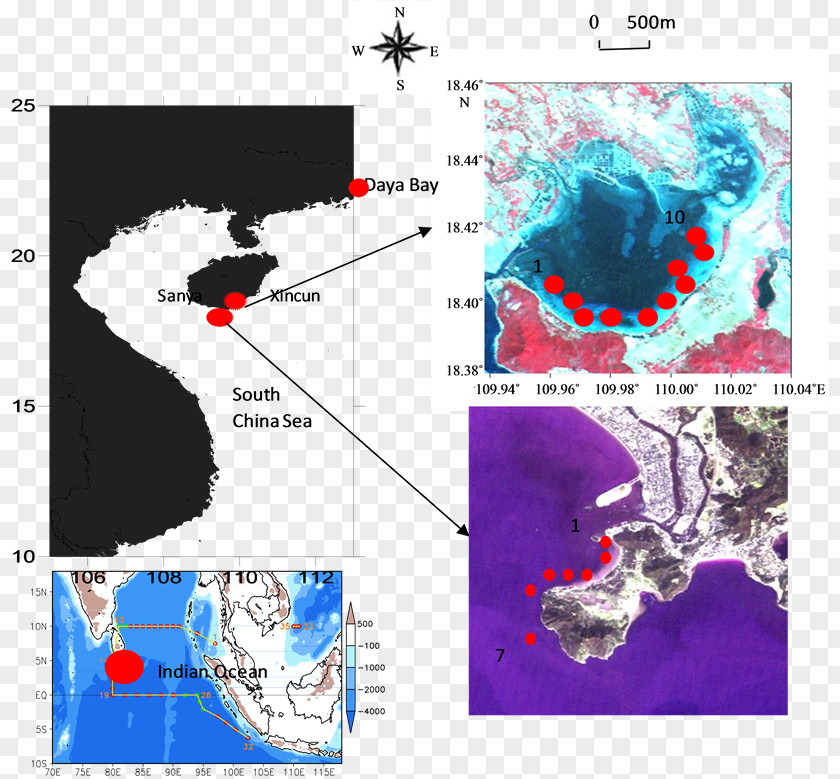 Map Water Resources Organism Tuberculosis PNG