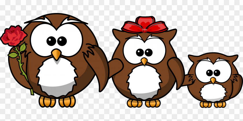 Owls Owl Bird Cartoon Clip Art PNG