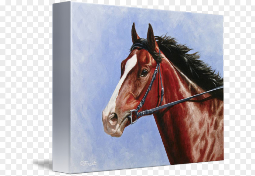 Painting Thoroughbred Stallion American Paint Horse Oil PNG