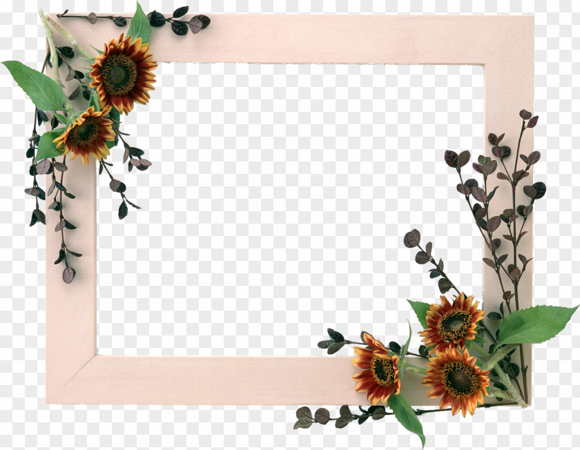 Picture Frames Photography Wallpaper PNG