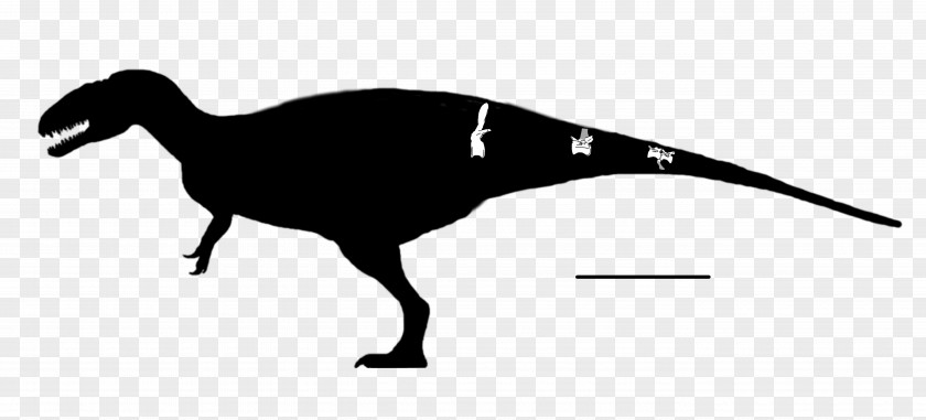 All Included Veterupristisaurus Eocarcharia Tendaguru Formation Acrocanthosaurus Vertebrate PNG