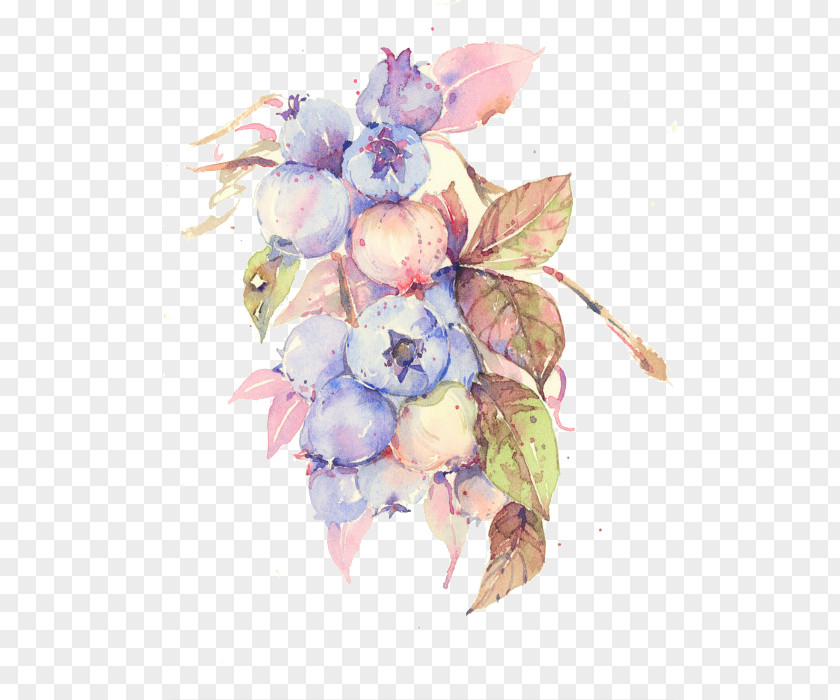 Blueberry Fruit Floral Design Watercolor Painting Flower Illustration PNG