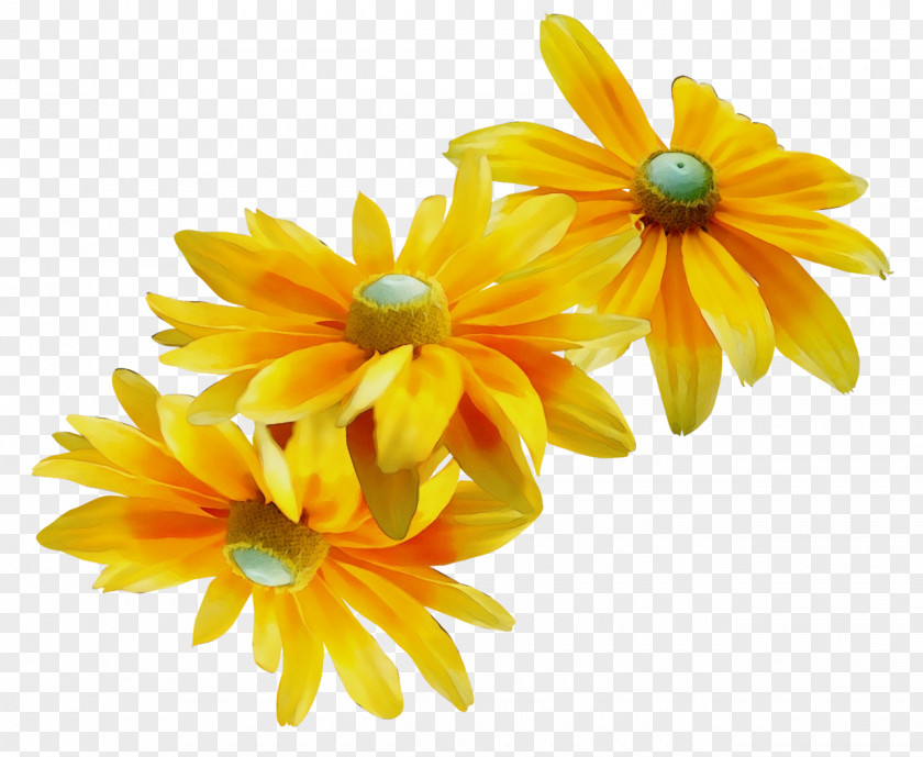 Clip Art Flower Chrysanthemum Music PNG