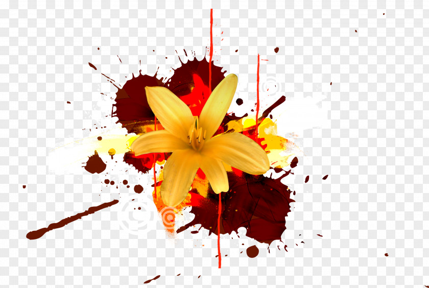 Floral Splash Drawing PNG