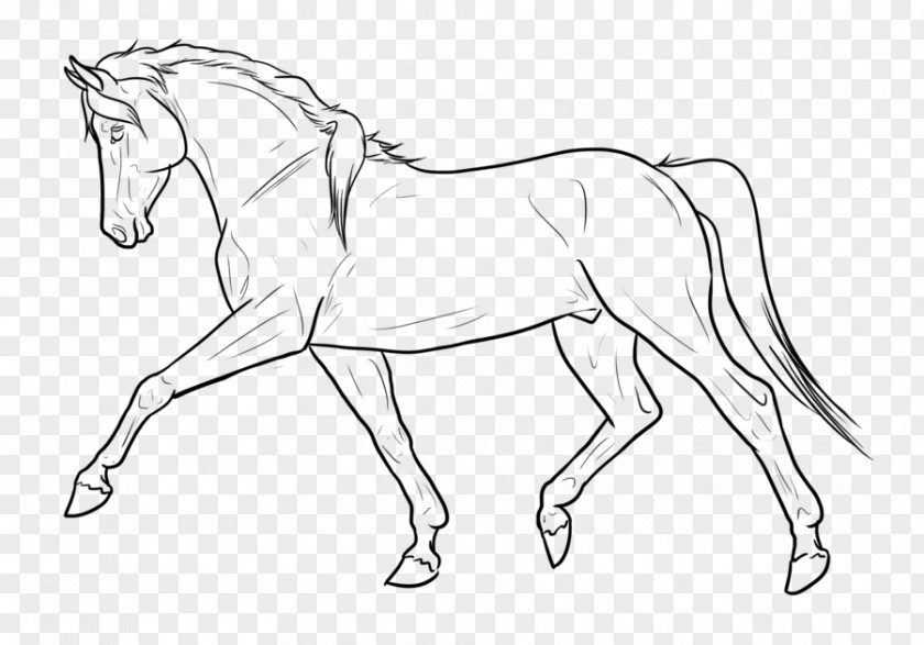 Horse Line Art Drawing PNG