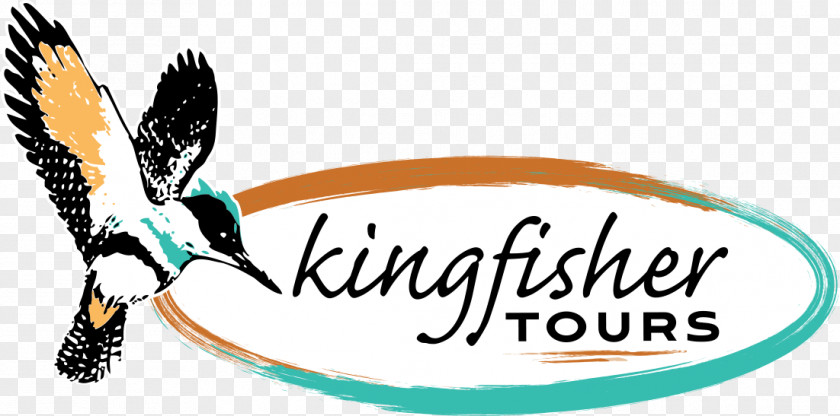Logo Kingfisher Tours Flight Cockburn Ranges Lookout PNG