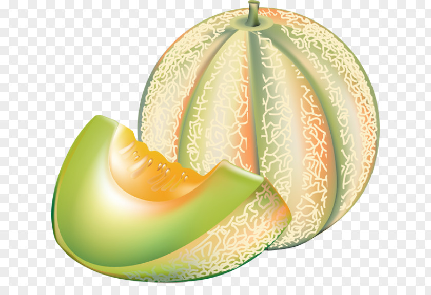 Melon Cliparts Honeydew Cantaloupe Watermelon Clip Art PNG