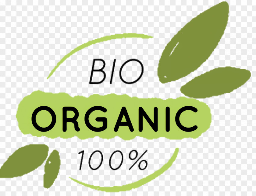 Olive Plant Green Leaf Logo PNG
