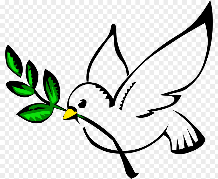 Pigeon Cliparts Columbidae Peace Doves As Symbols Clip Art PNG