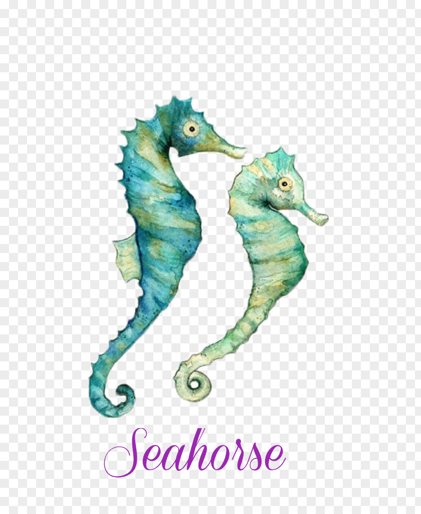 Seahorse Watercolor Painting Art PNG