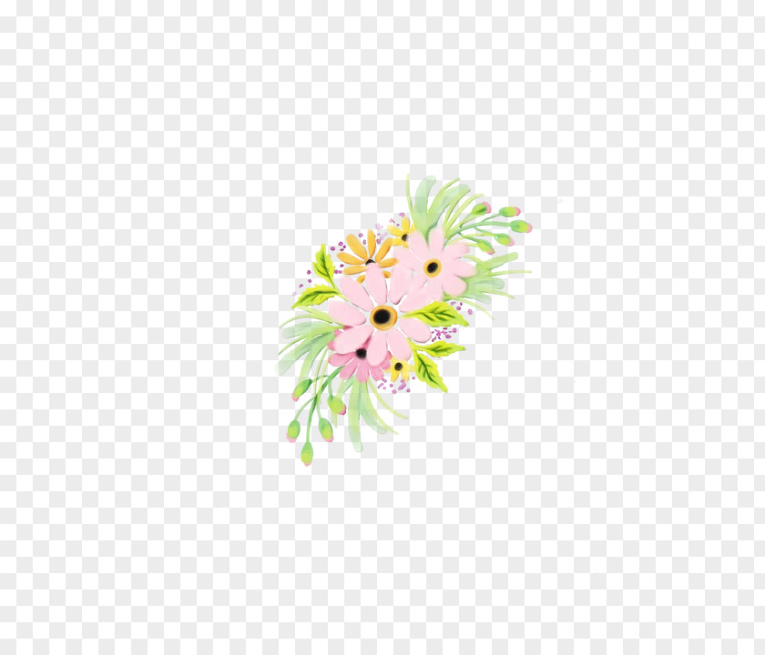 Wildflower Daisy Family Gerbera Flower Cut Flowers Pink Plant PNG