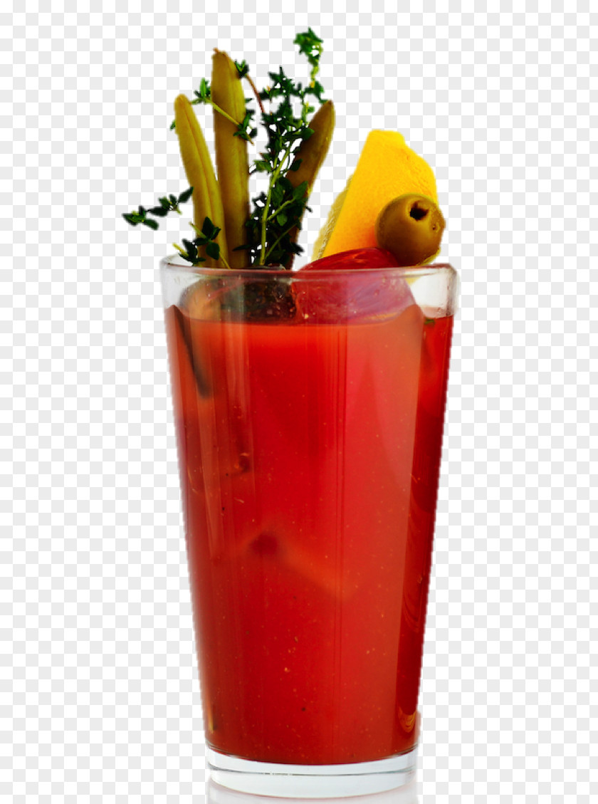 Cocktail Drink Mixer Cosmopolitan Bloody Mary Mai Tai PNG