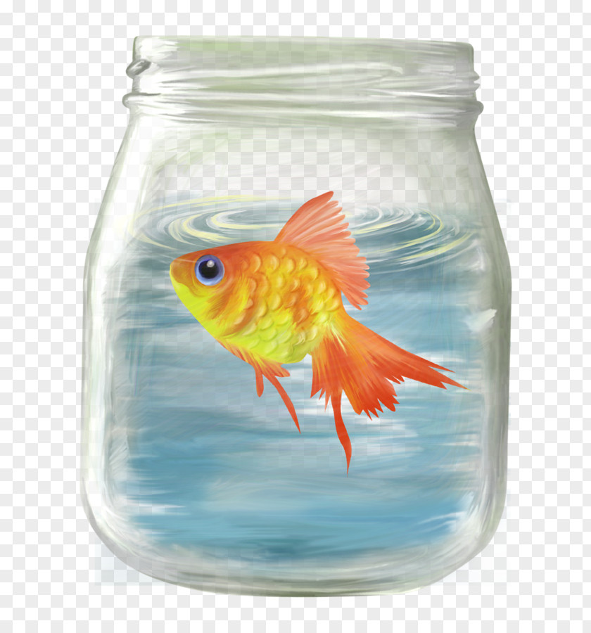 Fish Goldfish Clip Art PNG