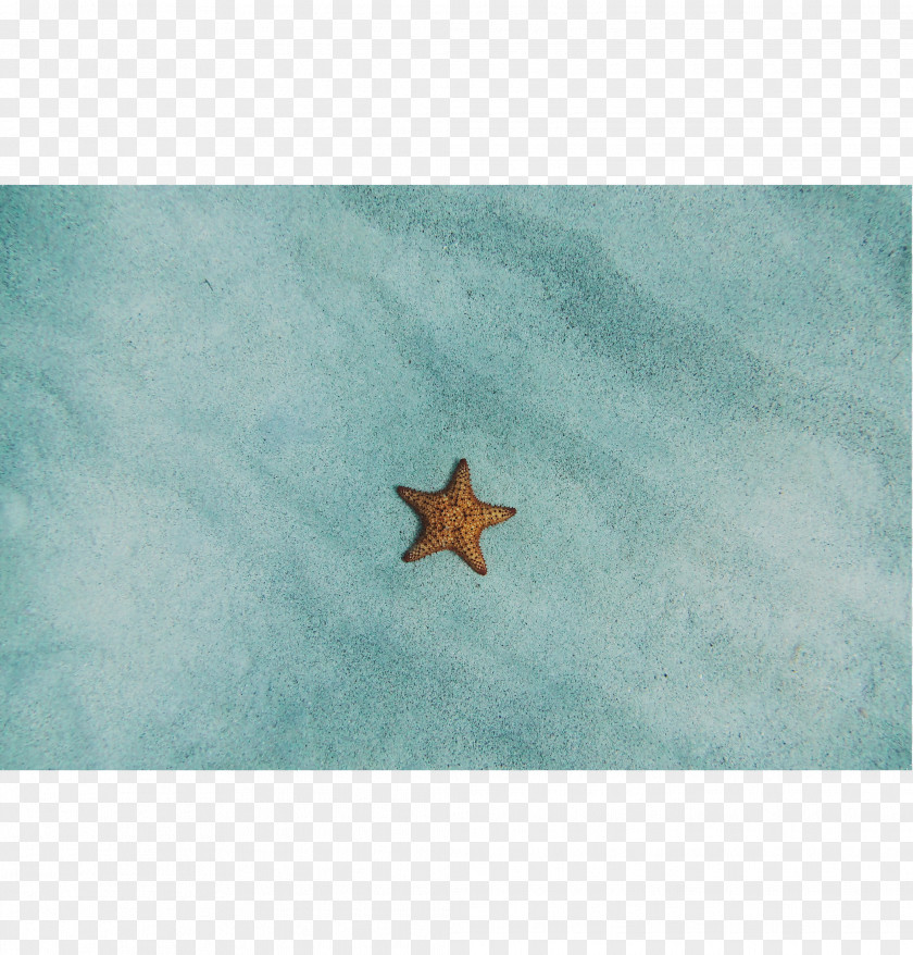 Frameless Painting Starfish Turquoise Sky Plc PNG