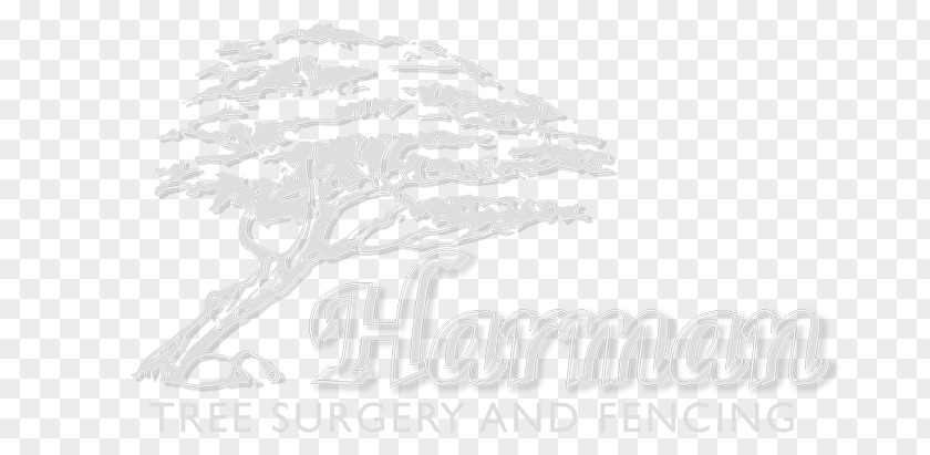Tree Root Removal Logo /m/02csf Brand Drawing Font PNG
