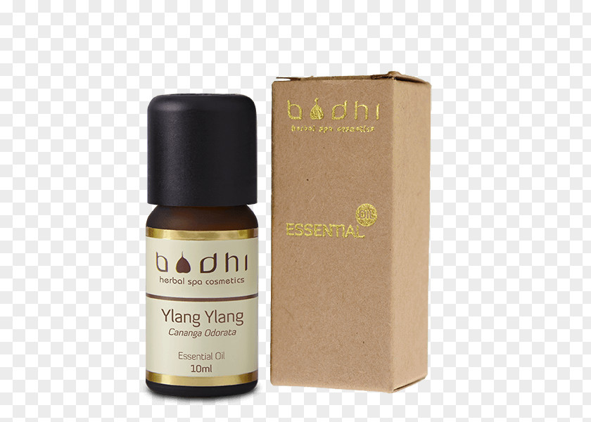Ylang Essential Oil Perfume Rose Sandalwood PNG