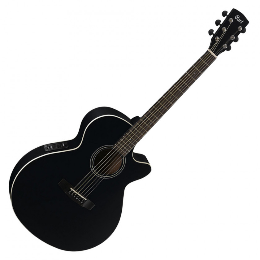 Acoustic Guitar Twelve-string Ovation Company Acoustic-electric PNG