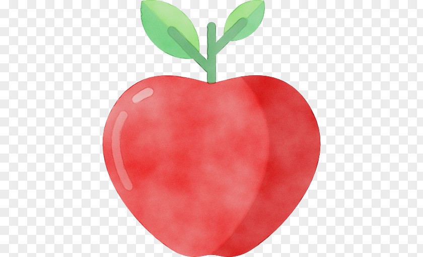 Heart Tree Fruit Leaf Plant Apple Seedless PNG