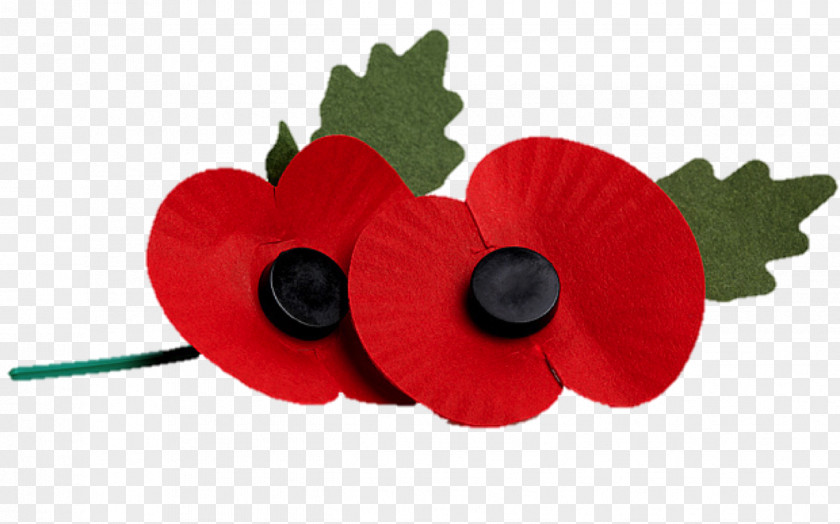 Poppy Remembrance The Royal British Legion United Kingdom Armistice Day PNG