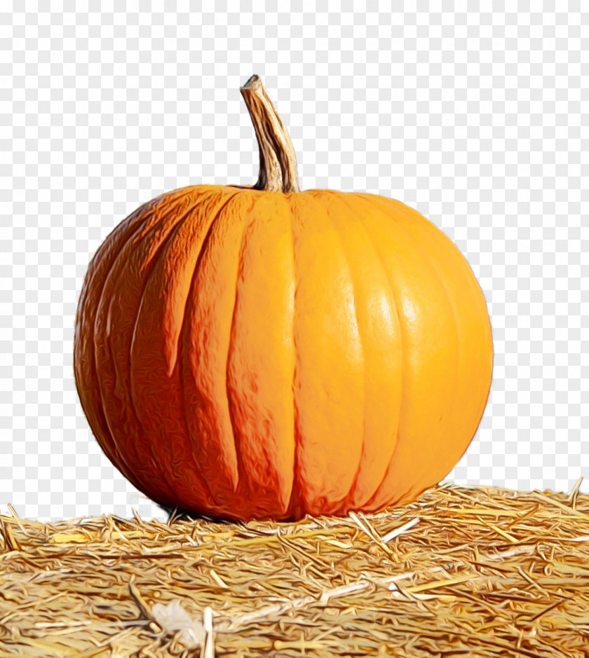 Pumpkin PNG