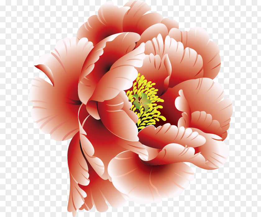 Vector Flower Peony Clip Art PNG