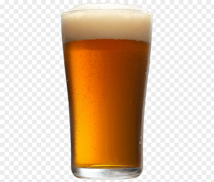 Beer Glass Pint Drink Lager PNG