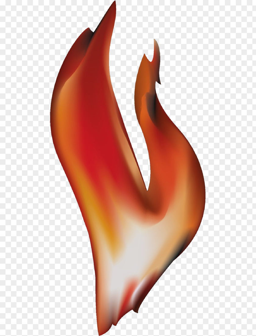 Free Pictures Of Fire Flame Combustion Clip Art PNG