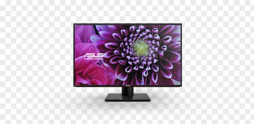 LCD Monitor PA328Q Computer Monitors IPS Panel ASUS Ultra-high-definition Television PNG