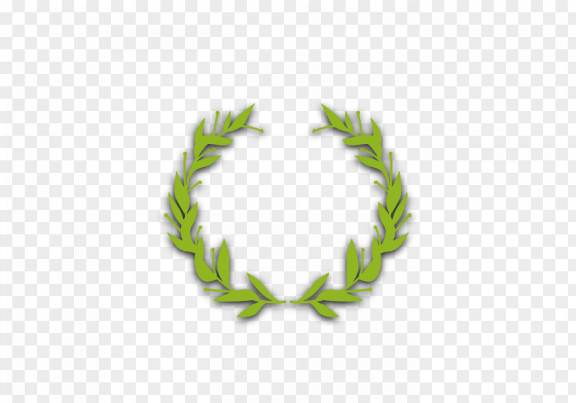 Olive Branch Computer File PNG