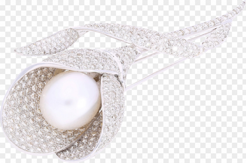 Sea Pearl Silver PNG