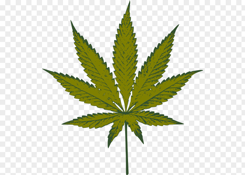 Cannabis Medical Hashish Clip Art PNG