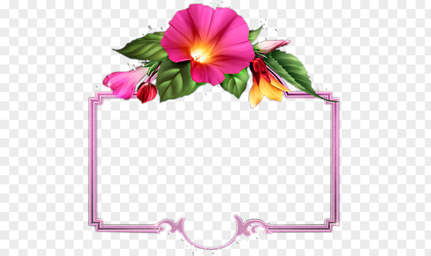 Design Floral PNG