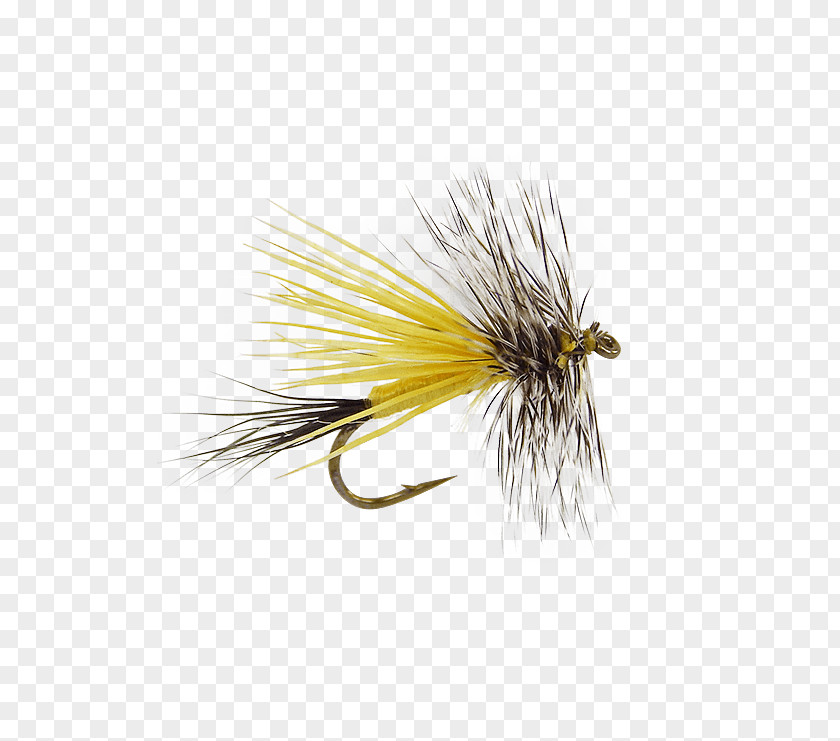 Dry Flies Artificial Fly Insect Wing PNG
