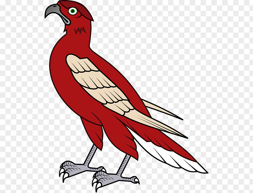 Falcon Animation Clip Art PNG