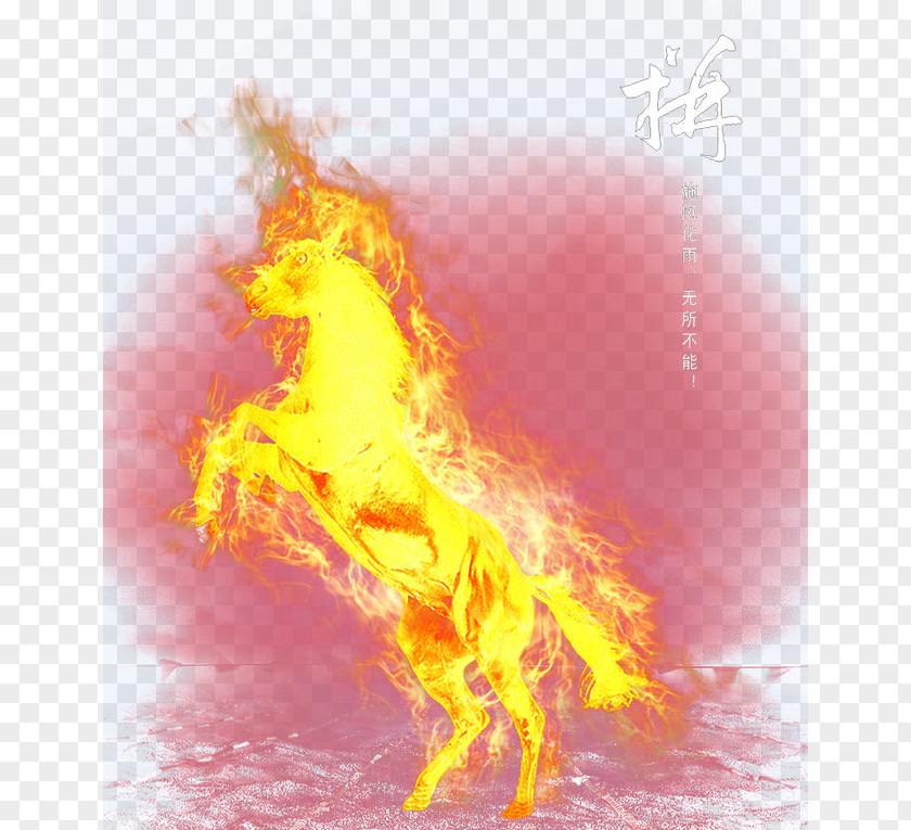 Fire Horse Flame Conflagration Wallpaper PNG