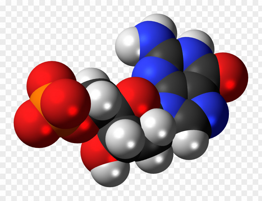 Guanosine Monophosphate Space-filling Model Diphosphate Guanine PNG