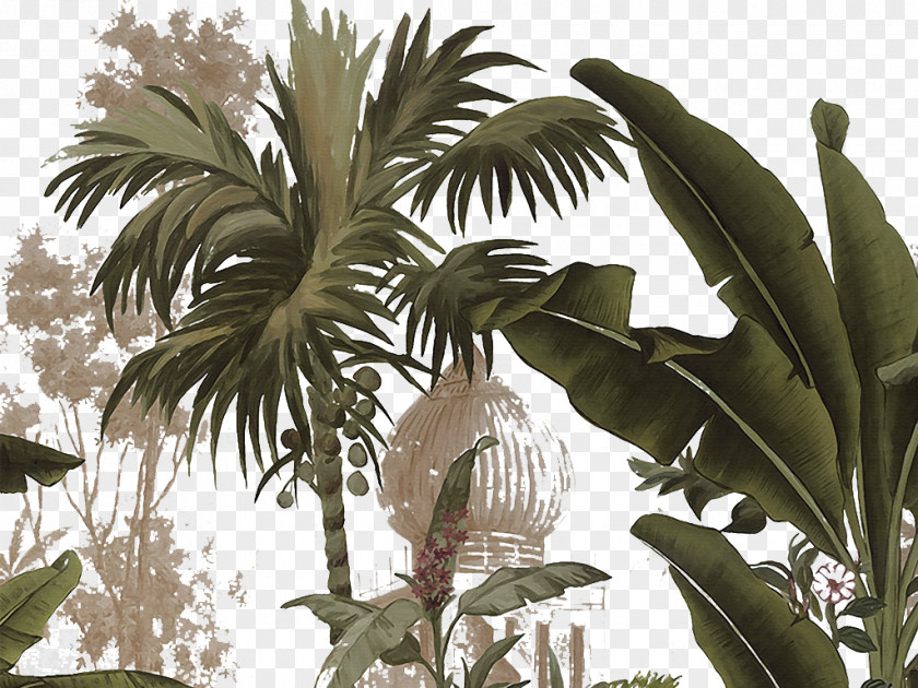 Hand Painted Tropical Palm Tree Yanoda Arecaceae Tropics Plant PNG