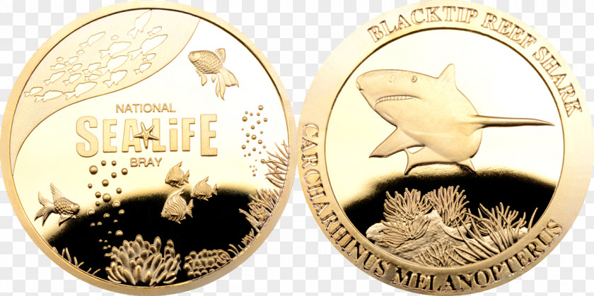 National Treasure Coin Maritime Museum Commemorative Silver PNG