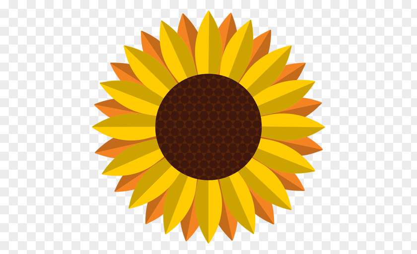 Sun Flower Logo Graphic Design PNG