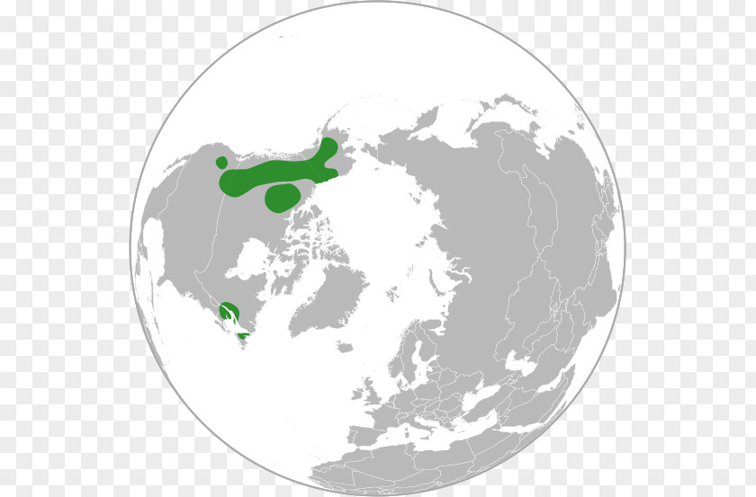 United States Arctic North Pole Earth PNG