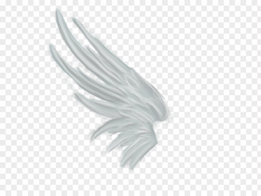 Black Angel Rendering Wing White PNG