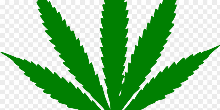 Cannabis Adult Use Of Marijuana Act Medical PNG