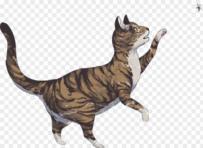 Cat Flea Tabby Tail KitNipBox Quiz PNG