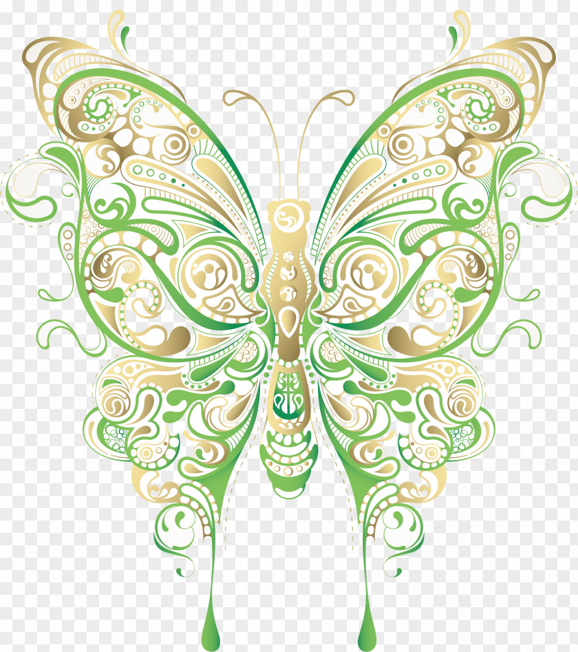 Decorative Pattern Butterfly Floral Design Flower Clip Art PNG