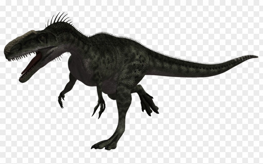 Dinosaur Tyrannosaurus Monolophosaurus Megalosaurus Allosaurus PNG