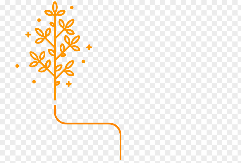 Line Leaf Branching Clip Art PNG